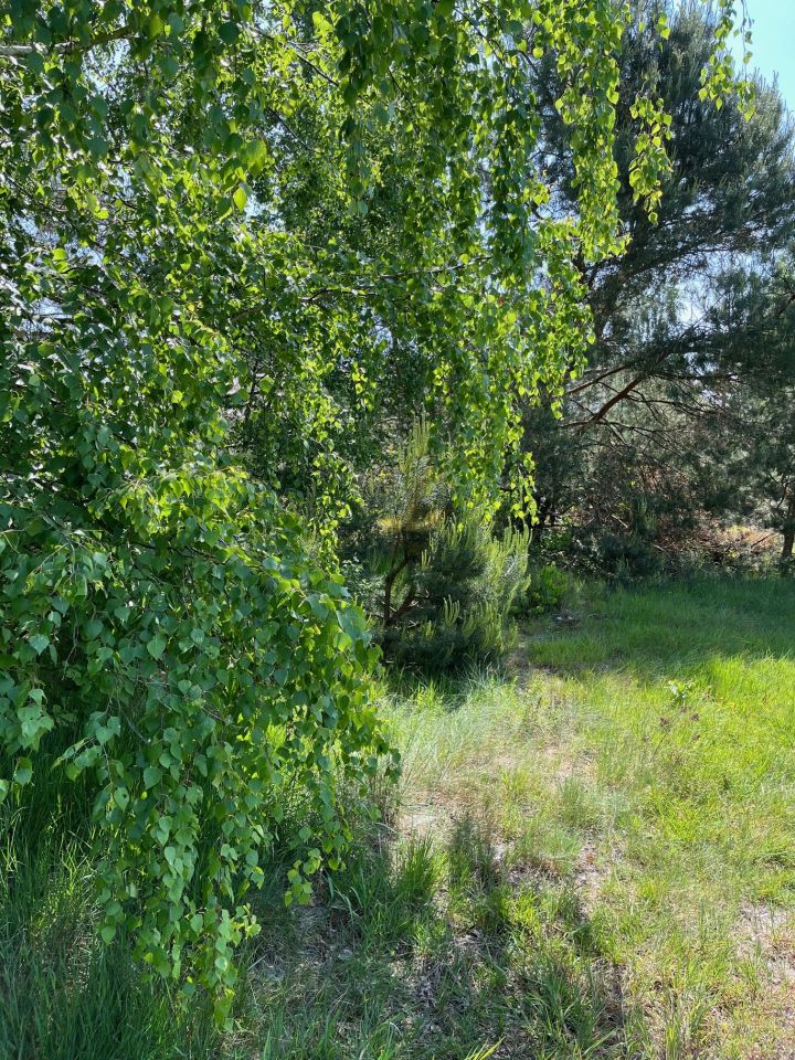 Działka rolno-budowlana Surmacze. Zdjęcie 17