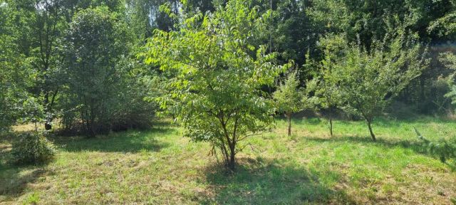 Działka budowlana Rusiec. Zdjęcie 8