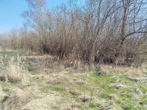 Działka rolna Adamowice, ul. Polna. Zdjęcie 3