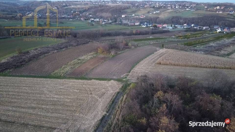 Działka siedliskowa Trojanowice, ul. Miechowska. Zdjęcie 12