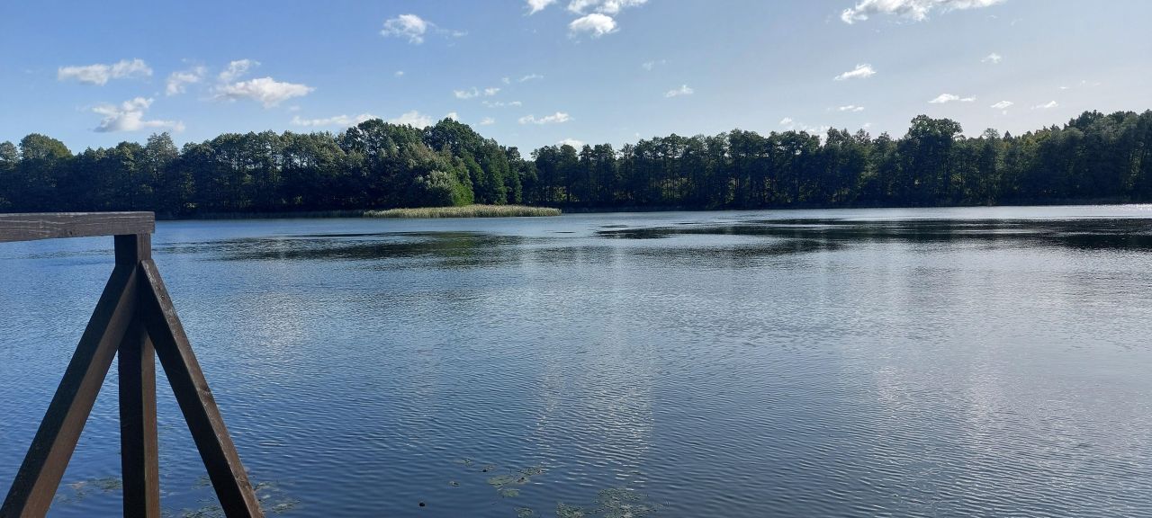 Działka rolna Ostrowite. Zdjęcie 5