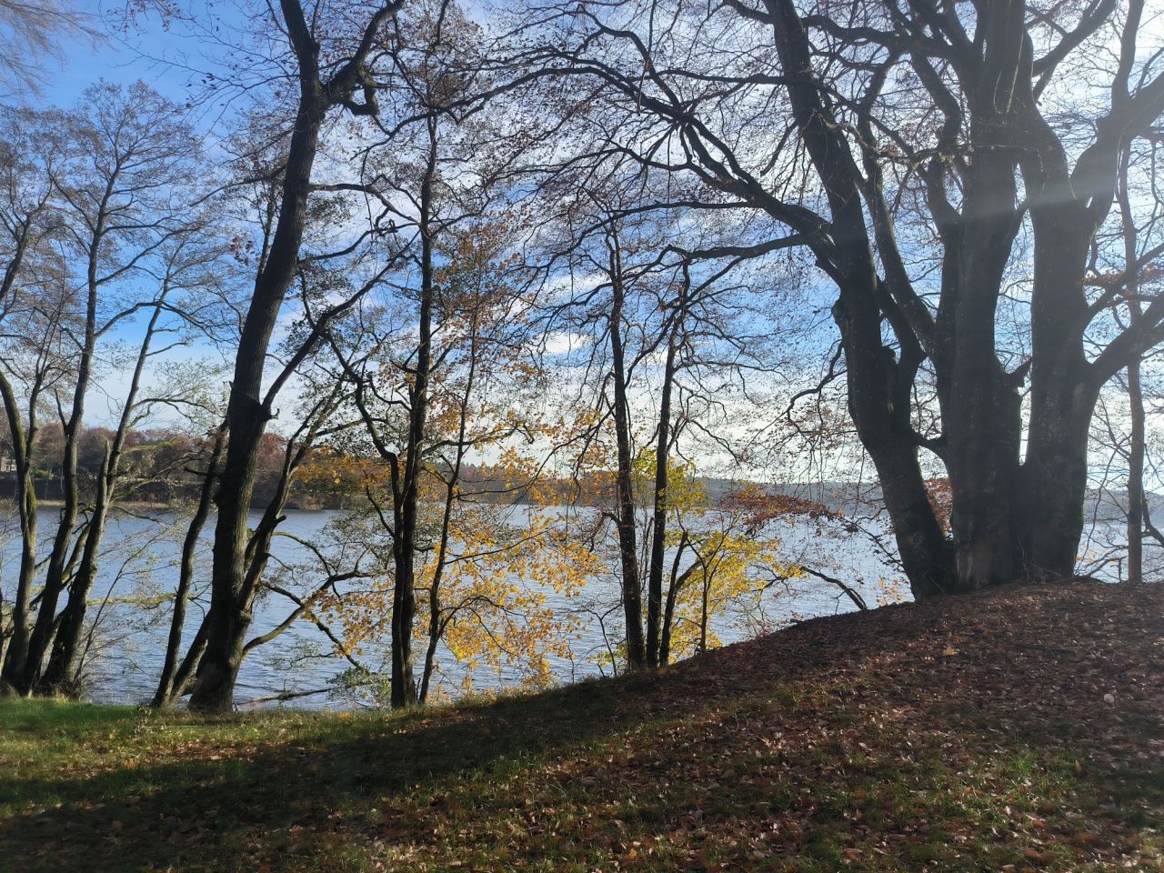 Działka rolno-budowlana Łupawsko. Zdjęcie 6