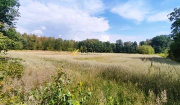 Działka rolno-budowlana Grądy