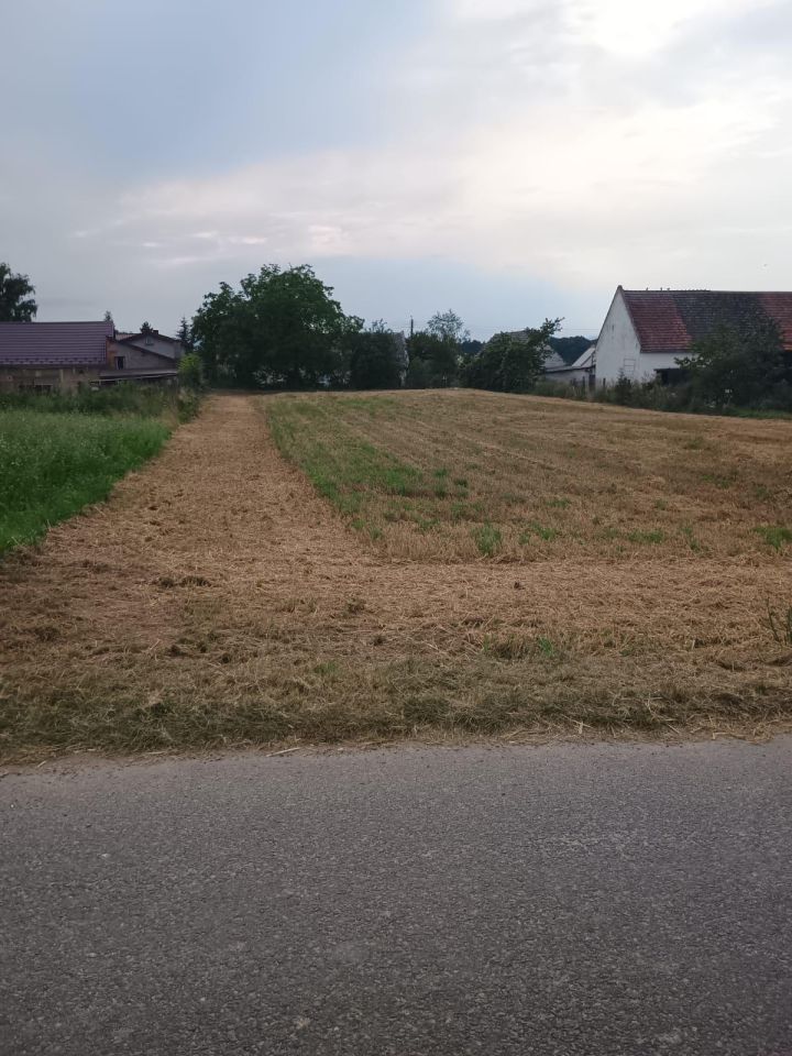 dom wolnostojący, 5 pokoi Buków. Zdjęcie 5