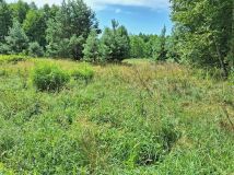 Działka siedliskowa Sieraków. Zdjęcie 2