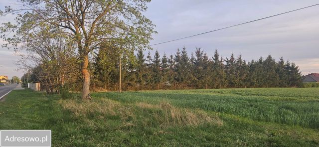 Działka budowlana Strzelce Krajeńskie, ul. Sportowa. Zdjęcie 1