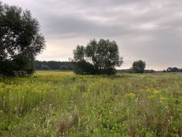 Działka budowlana Czapelki. Zdjęcie 1