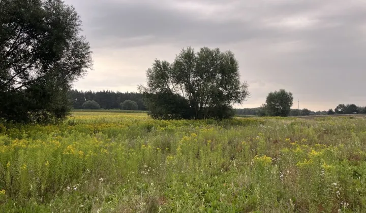Działka budowlana Czapelki