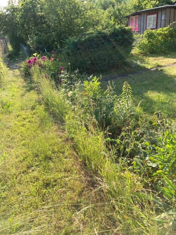 Działka rod Gdynia Mały Kack, ul. Przemyska. Zdjęcie 6