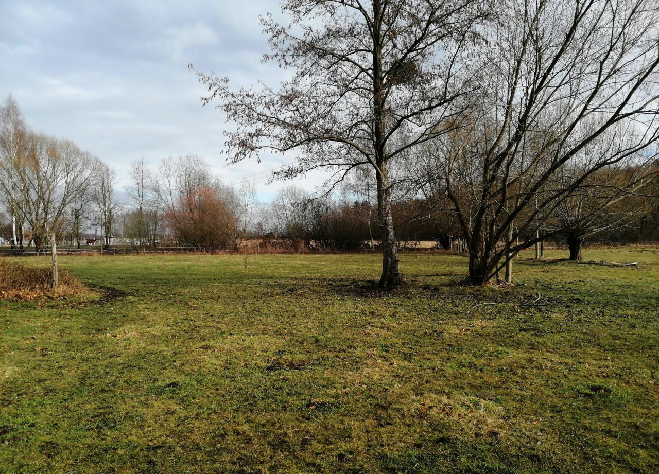 gospodarstwo Brzezinki, ul. Główna. Zdjęcie 6