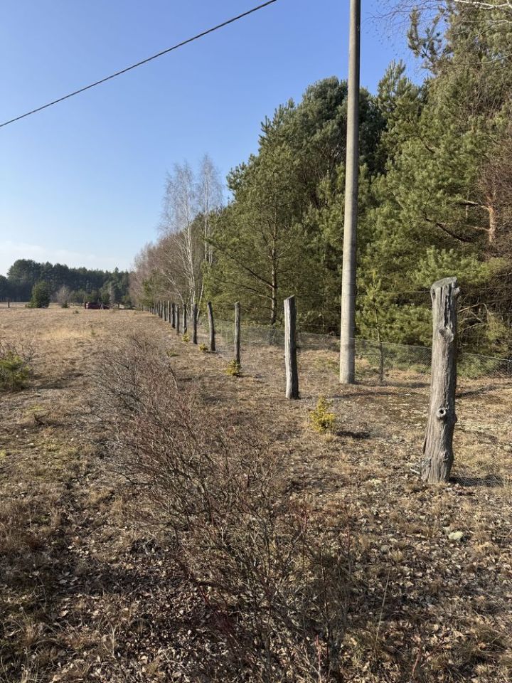 Działka rolna Wysoka. Zdjęcie 5