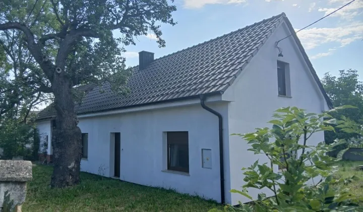 dom wolnostojący Kamionka