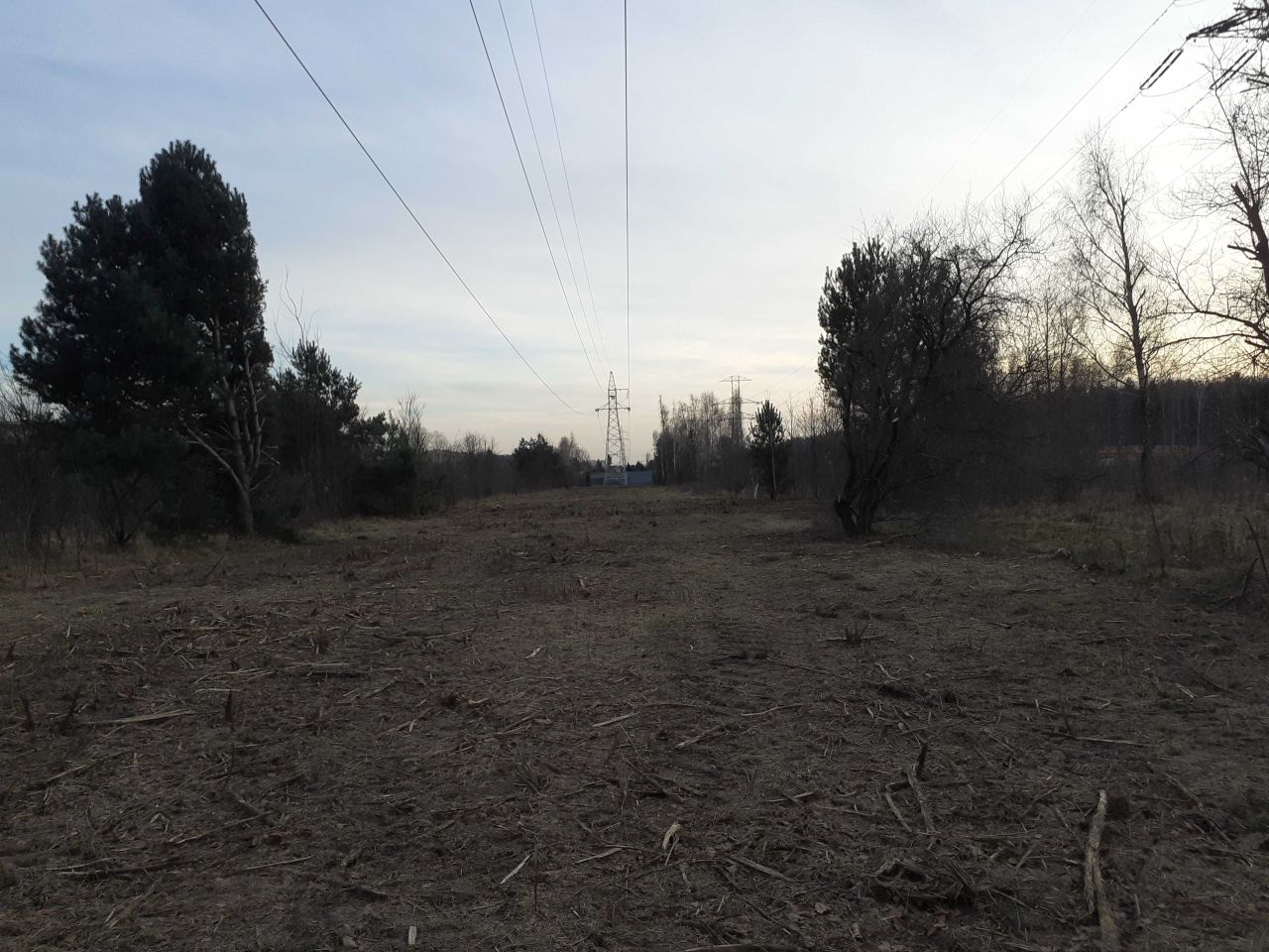 Działka rolna Zgierz. Zdjęcie 4