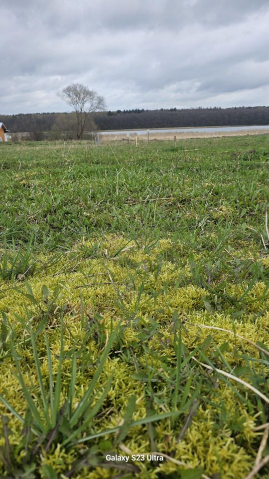 Działka rekreacyjna Wierzchowo, ul. 3 Marca. Zdjęcie 3