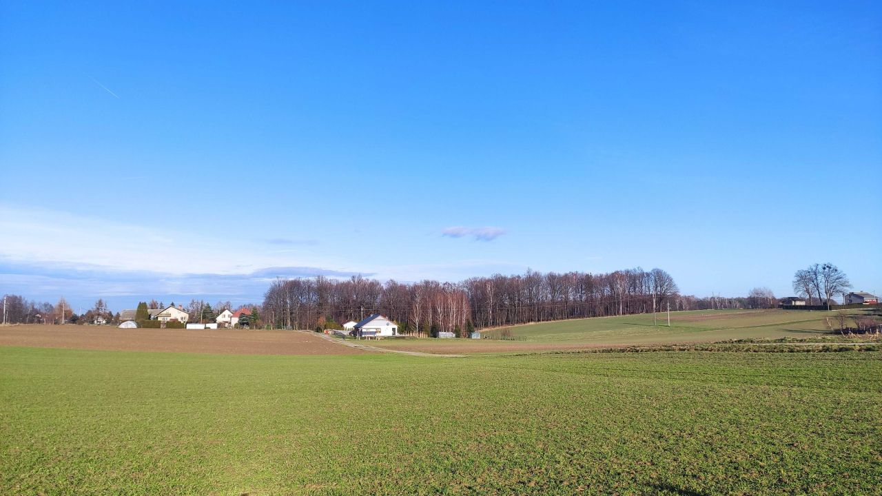 Działka budowlana Witkowice, ul. Winogronowa. Zdjęcie 8