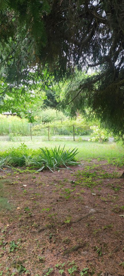 Działka rod Warszawa Mokotów, ul. Racławicka. Zdjęcie 33