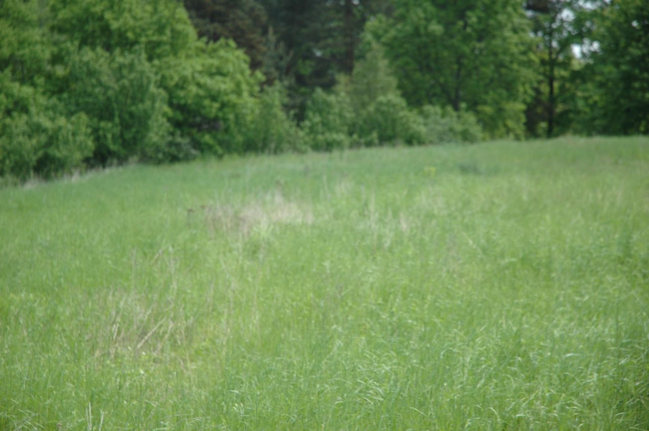 Działka siedliskowa Zalas, ul. Piaskowa. Zdjęcie 4