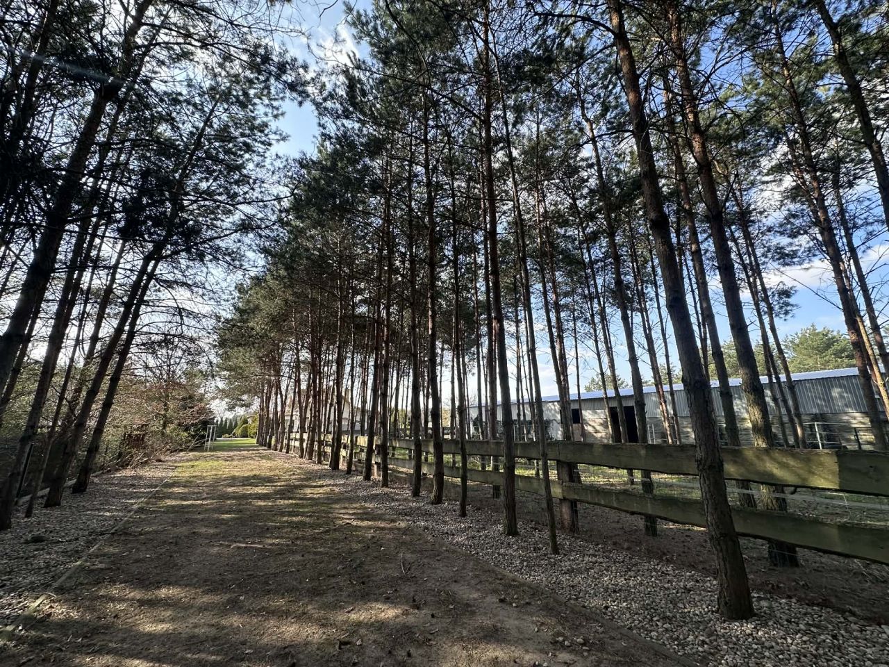 dom wolnostojący, 5 pokoi Chylin. Zdjęcie 26