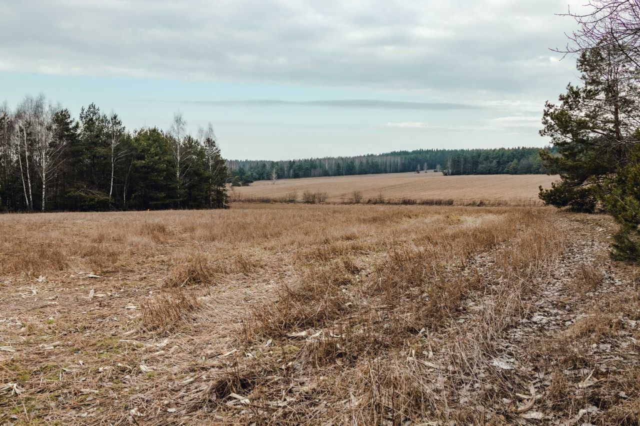 Działka rekreacyjna Wiejki. Zdjęcie 4