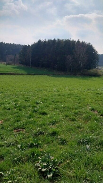 Działka budowlana Smołdzino, ul. Kartuska. Zdjęcie 2