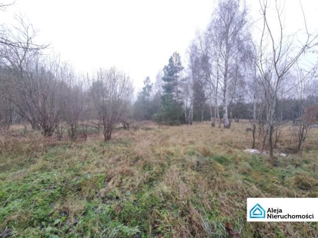 Działka rolno-budowlana Garnek. Zdjęcie 1