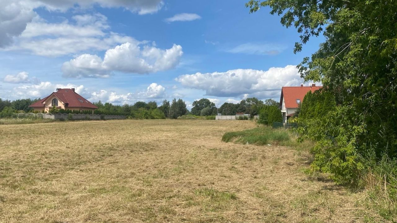 Działka budowlana Brzezie k. Sulechowa. Zdjęcie 6