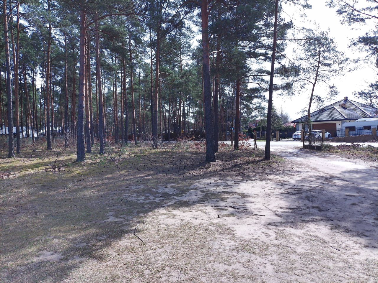 Działka budowlana Marynino, Sosnowa. Zdjęcie 7