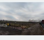 Działka rekreacyjna Olza. Zdjęcie 1