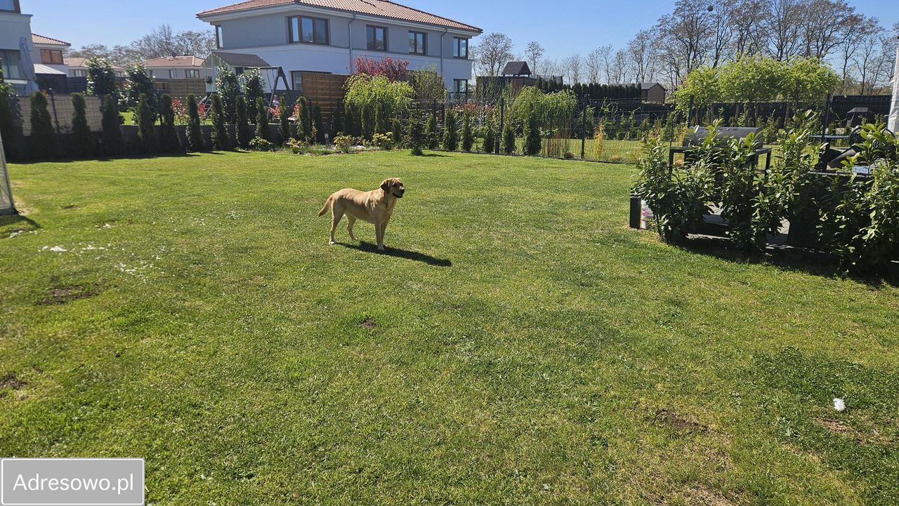 bliźniak, 5 pokoi Kościno. Zdjęcie 14