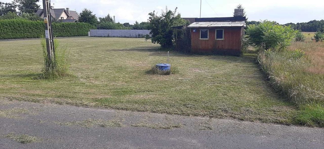 Działka budowlana Jadwinin, Jadwinin