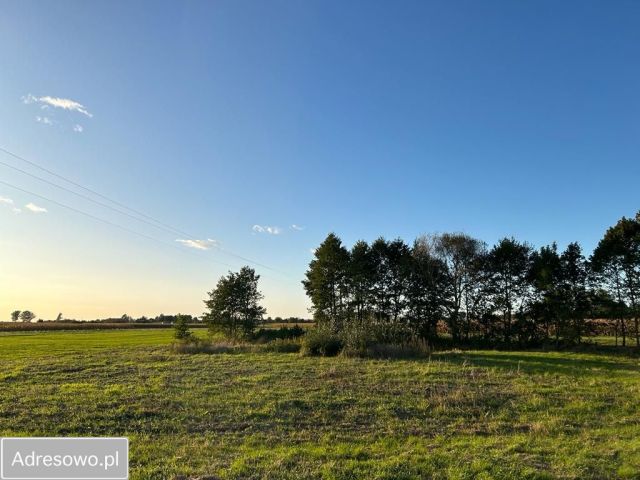 Działka budowlana Dębina. Zdjęcie 1