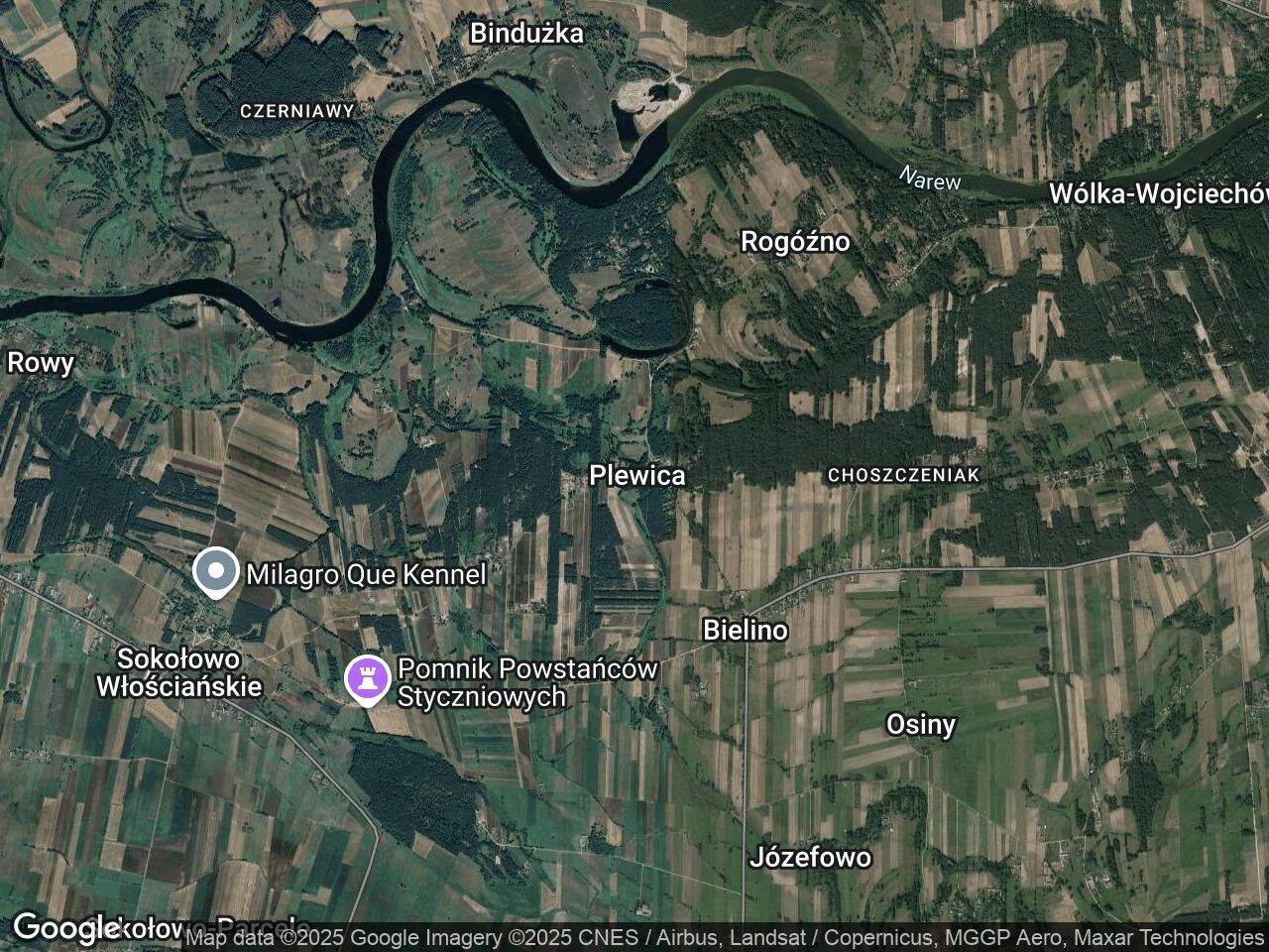 Działka rolna Plewica