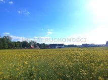 Działka budowlana Królikowo. Zdjęcie 4