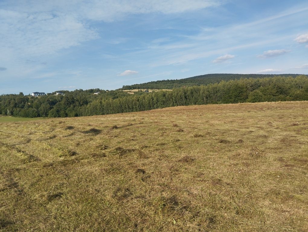 Działka rolno-budowlana Krajno Pierwsze. Zdjęcie 6