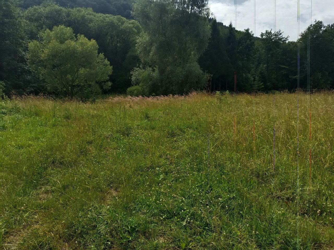 Działka budowlana Łosie Na Szlabancie. Zdjęcie 3