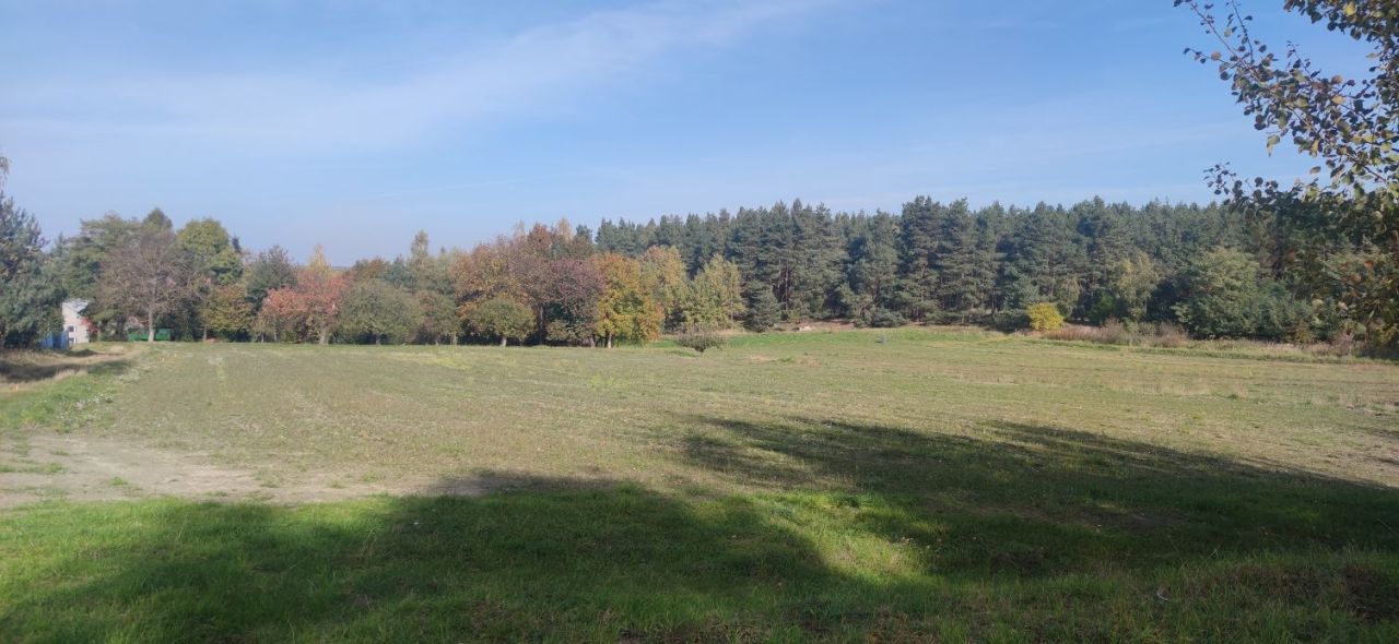 Działka budowlana Czernikowice. Zdjęcie 6