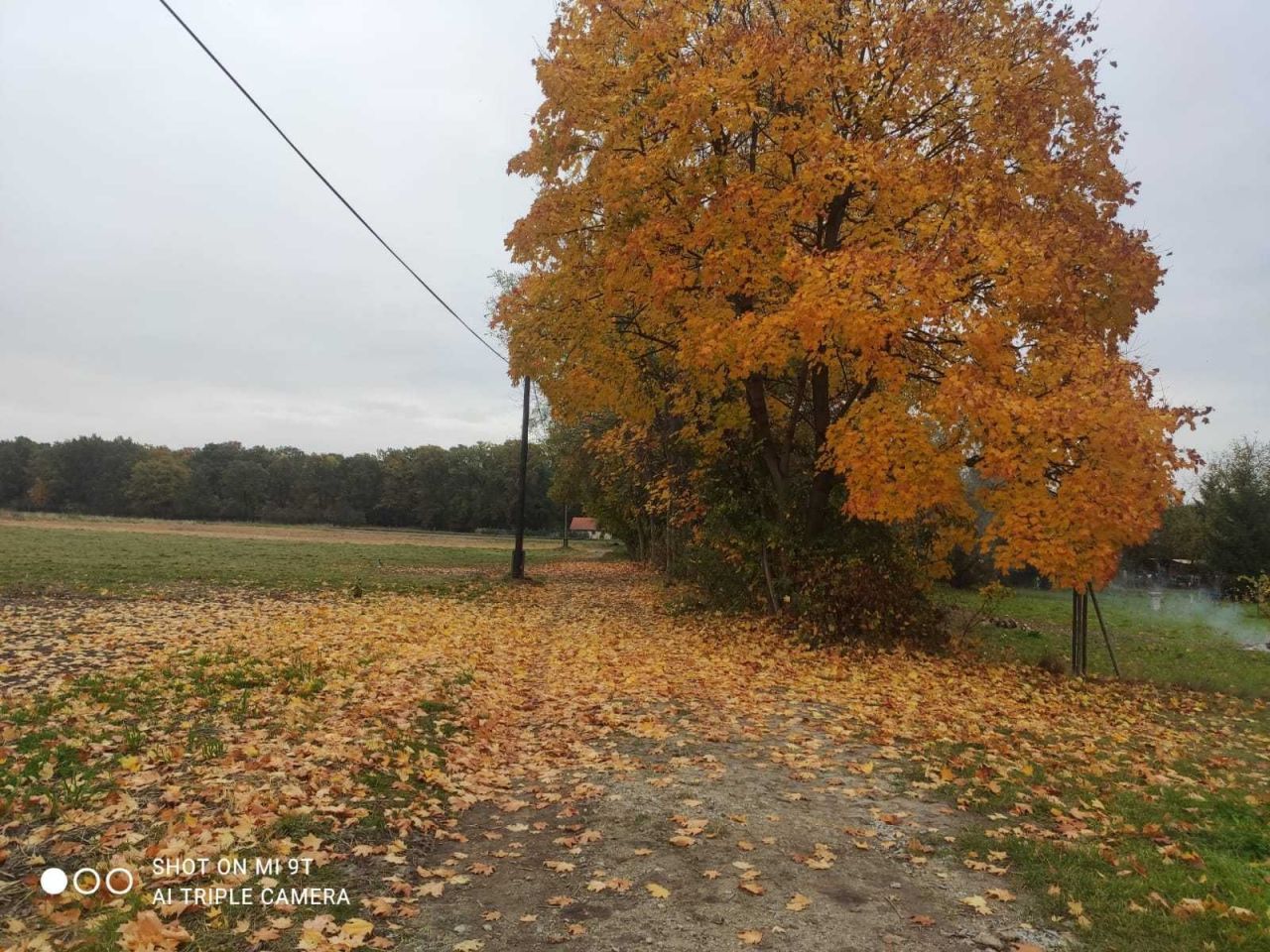 Działka budowlana Węgrzce