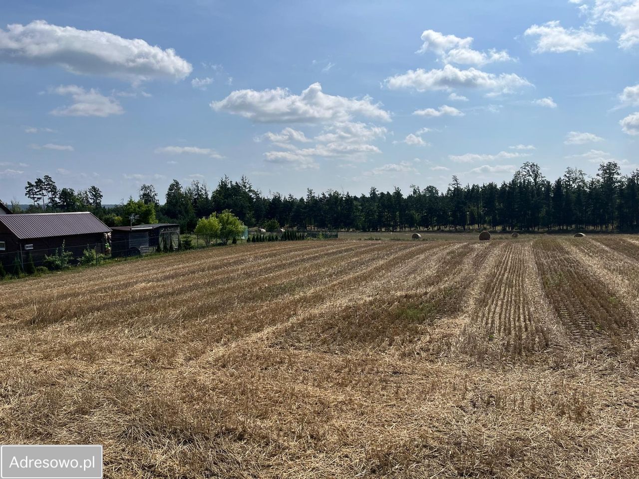 Działka rolno-budowlana Jeziorki. Zdjęcie 12
