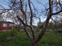 Działka rod Koszalin. Zdjęcie 3