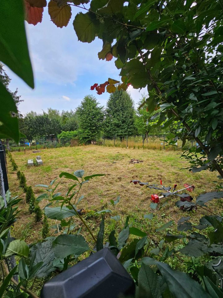 Działka rod Gliwice Zatorze. Zdjęcie 2