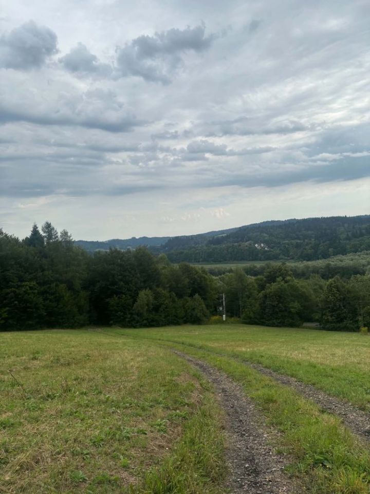 Działka budowlana Wołkowyja. Zdjęcie 3
