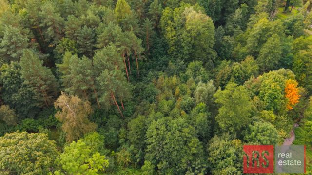 Działka budowlana Radziejowice, ul. Przemysłowa. Zdjęcie 7