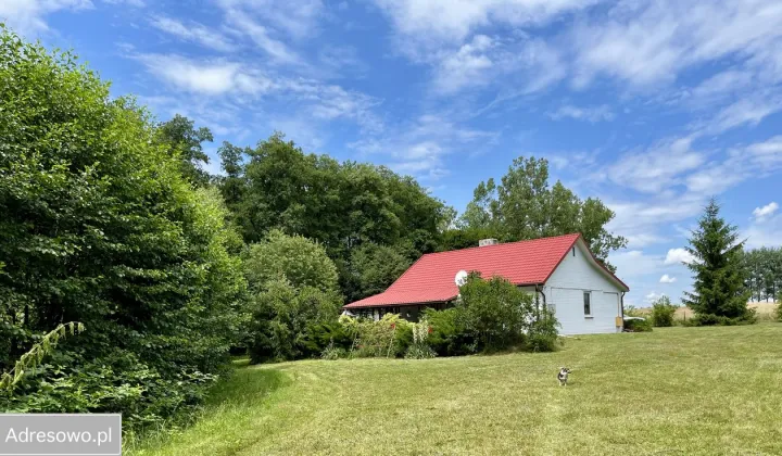 dom wolnostojący, 4 pokoje Kępa Borzechowska