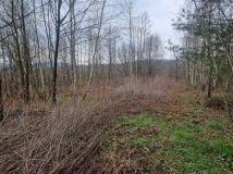 Działka budowlana Kamienica Dolna. Zdjęcie 3