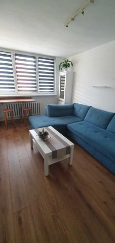 Mieszkanie 1-pokojowe Mikołów Centrum, ul. Młyńska. Zdjęcie 1