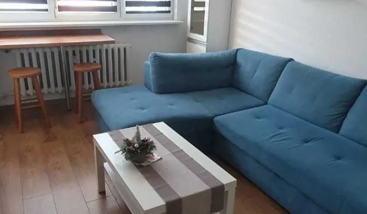 Mieszkanie 1-pokojowe Mikołów Centrum, ul. Młyńska