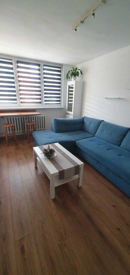 Mieszkanie 1-pokojowe Mikołów Centrum, ul. Młyńska. Zdjęcie 1