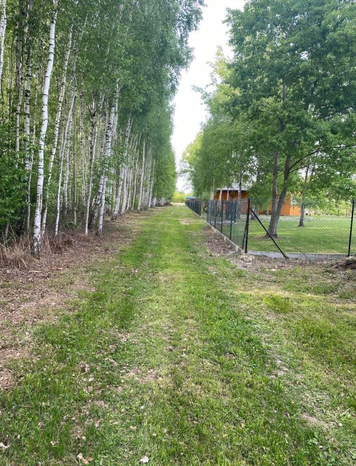 Działka rekreacyjna Stary Orzechów. Zdjęcie 3