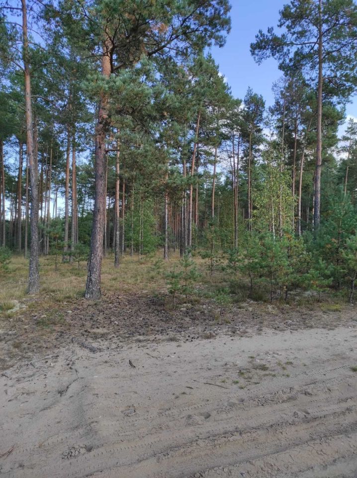 Działka rekreacyjna Konarzyny. Zdjęcie 6