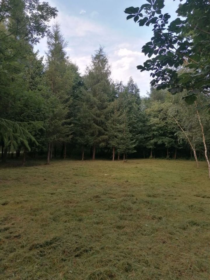 Działka rekreacyjna Budzów. Zdjęcie 6
